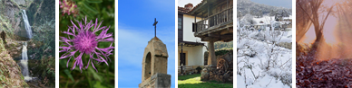 Cabecera del Ayuntamiento de Illas